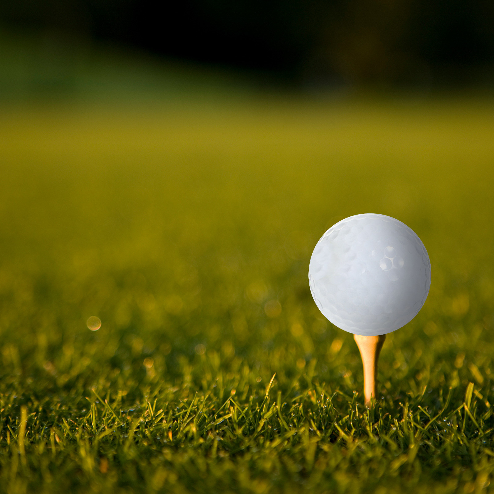 Indoor Practice Golf Balls Equ - đánh giá và giá Golf Equipment Beginners